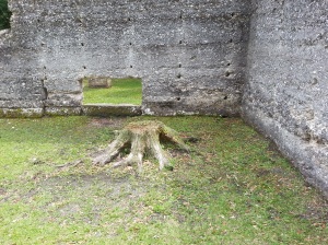 A tree stump inside the ruins :(